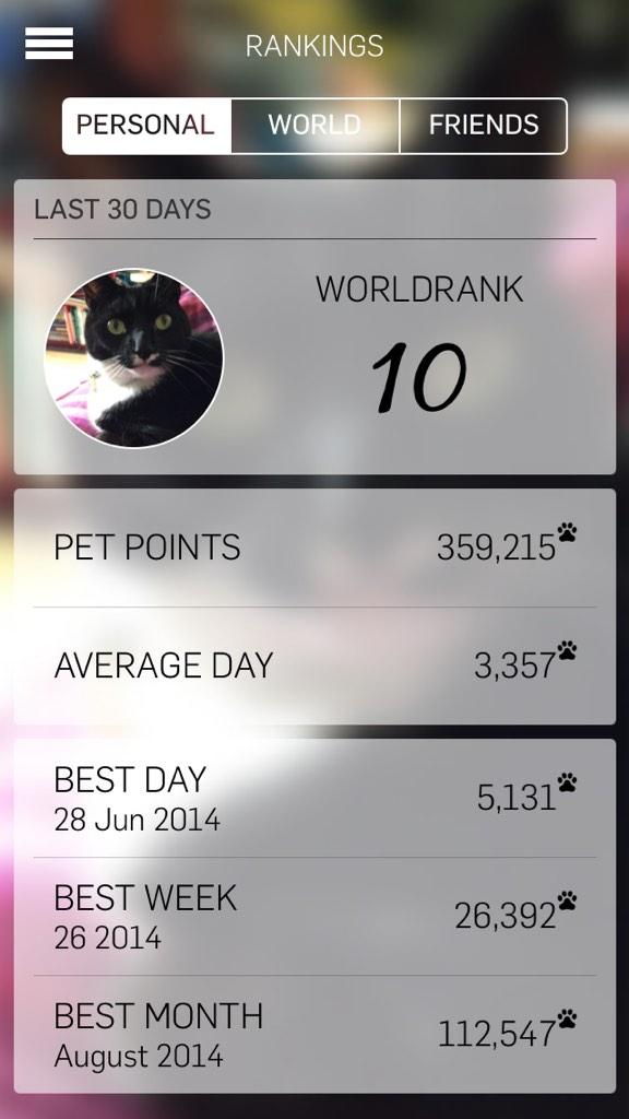 bruceisgroovy's tweet photo. Hi @Tractive my bigcat brother is in the Top10!Moms very proud of his record.I think I shud get the record 4 sleepin! http://t.co/iIMVEFTZCj