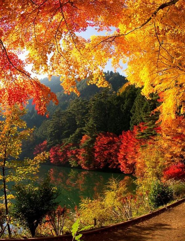 tess_222_'s tweet photo. http://t.co/rUL0H6oamG