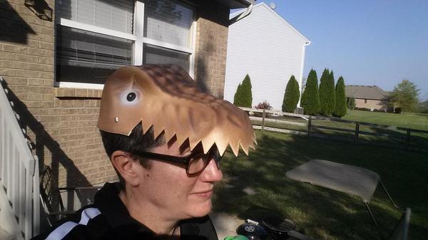 Super_Carlson's tweet photo. I may or may not need to have someone with me in stores to tell me "You don't need that, Carlson." #TRexhat http://t.co/niqWjjcG8Y