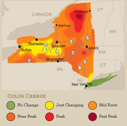 I_LOVE_NY's tweet photo. The progression of fall colors has taken dramatic leap forward across most of NY! http://t.co/YHi9E1Qsvf #NYLovesFall http://t.co/pNtJV3BzAL
