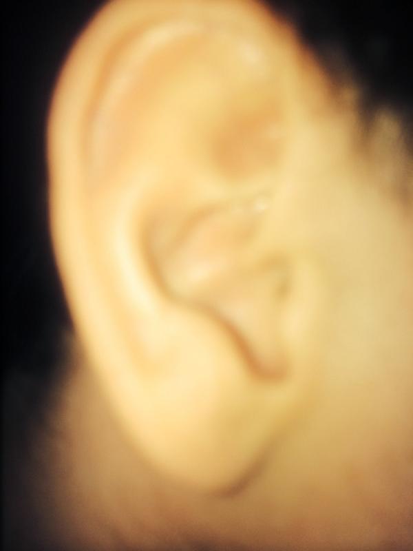 TheVampsband's tweet photo. Who's ear? http://t.co/ROFhEQ14xy
