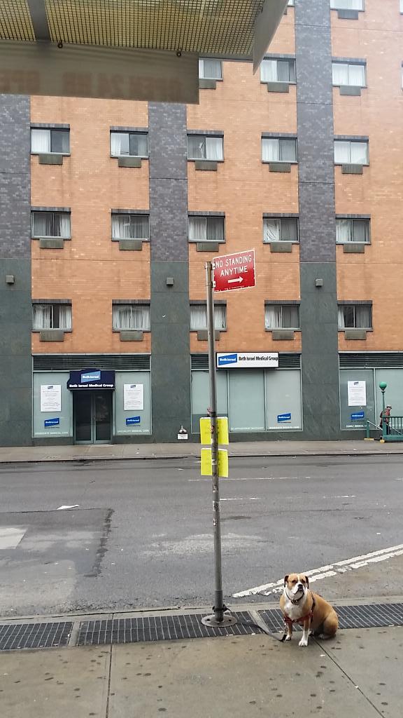 Embedded image permalink