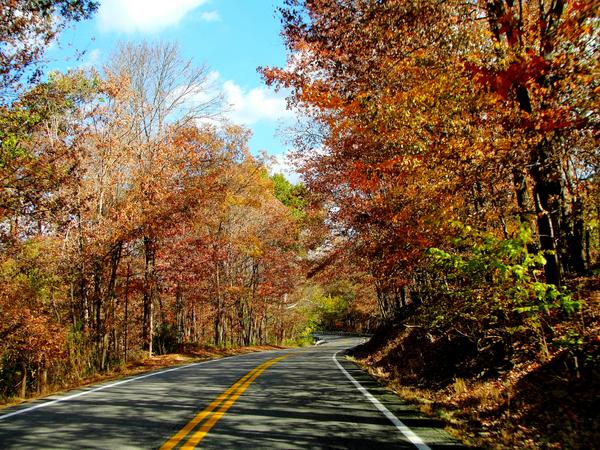 pohankaautos's tweet image. What is your favorite road to drive on around D.C. to enjoy the scenery of the new season? #FallDriving