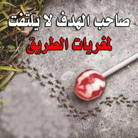 شموخ الجبال (@azeez12344321) on Twitter photo 