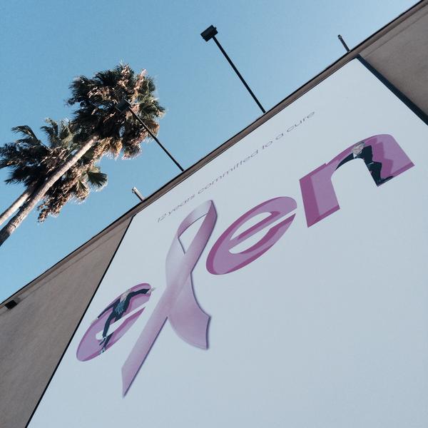 TheEllenShow's tweet image. Laugh. Dance. Cure. #BreastCancerAwarenessMonth