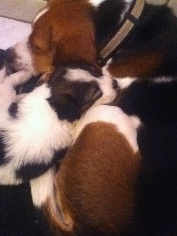 I Have A New Family Member!