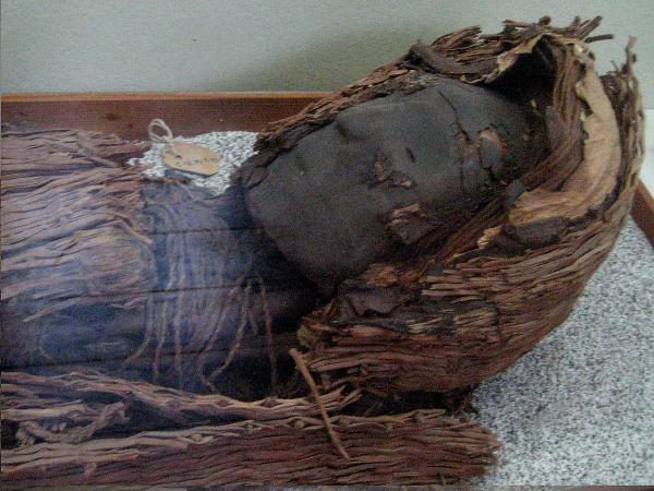 biobio's tweet photo. Ariqueños buscan que momias Chinchorro sean Patrimonio de la Humanidad http://t.co/zMaYujiVrk http://t.co/bnSHaBdppp