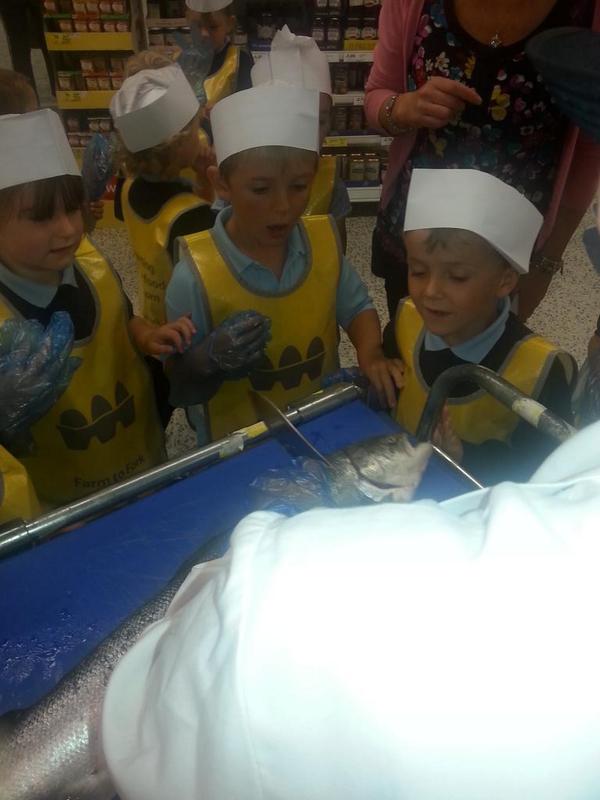 #farmtofork #choppingasalmonsheadoff #kidslovedit <a href="/glowrey5/">Gail Lowrey</a> <a href="/EatHappyProject/">EatHappyProject</a> <a href="/glowrey5/">Gail Lowrey</a> <a href="/HiddlestonK/">Leanne O'Connor</a> <a href="/shirl200/">Shirley</a>