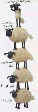 شموخ الجبال (@azeez12344321) on Twitter photo 