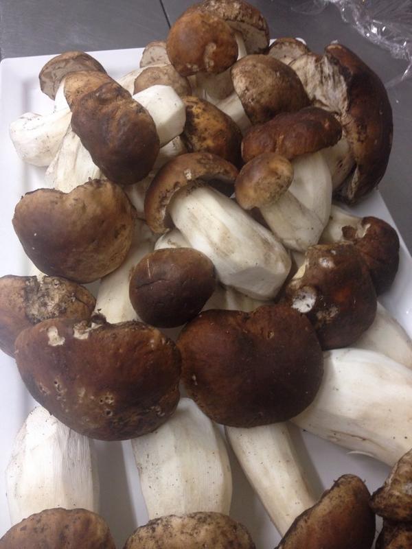 #LaHoraMagica243 preparando los platos para las jornadas Buscasetas 2014