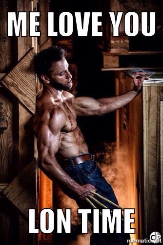 Lonstermash's tweet photo. Your #DailyWolverine: http://t.co/ohP5Z5yOHu