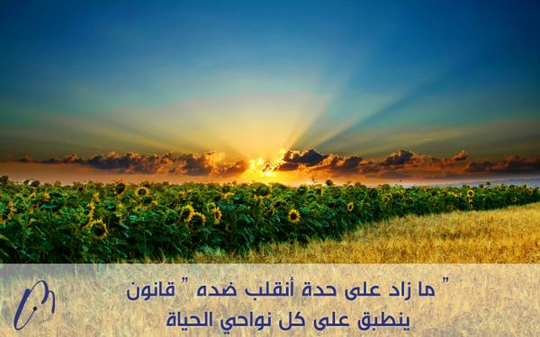 لا تعليق