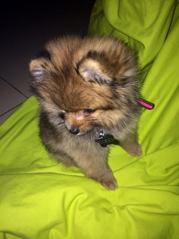 HelloCoco_'s tweet photo. Stolen shot.. 📷 Thanks mom. #LikeAModel http://t.co/aUfkiv2kZo