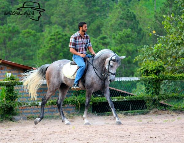 TayacanF's tweet photo. "Cada vez que cabalgo me recuerdo como mi corazón late por vos"#FrasesTayacan #CTHDA @TayacanF http://t.co/RWJJUH8BCj
