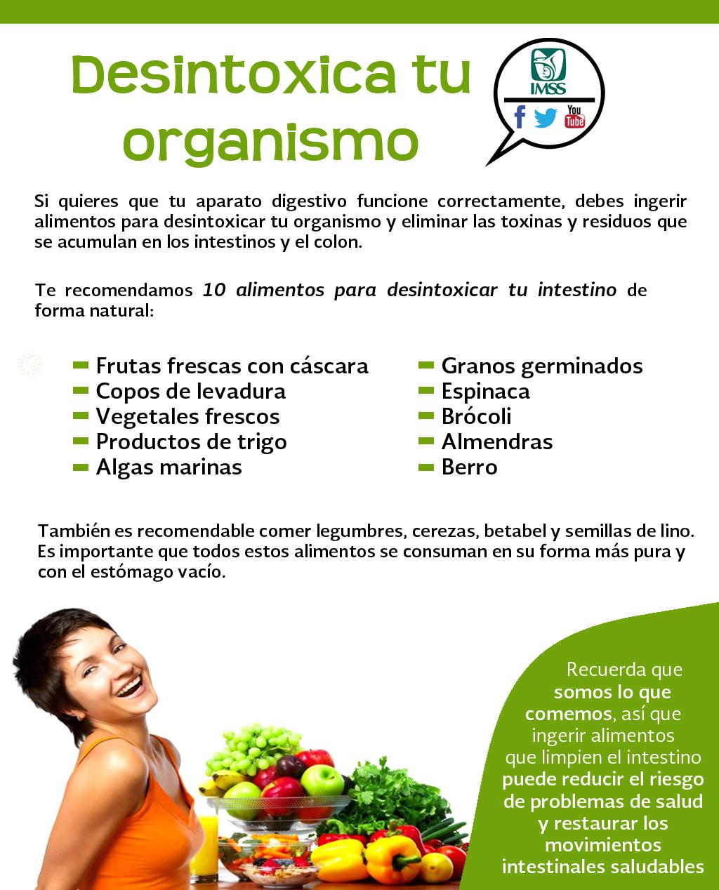 Síntesis de 21+ artículos como desintoxicar el organismo [actualizado