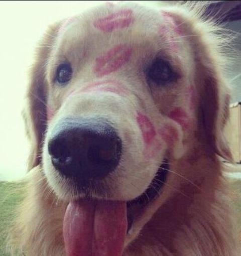 Almade_mar's tweet photo. Rt si adoras a los animales http://t.co/9IekTn6aow