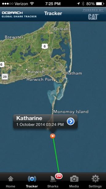 A_WhiteShark's tweet photo. Welcome back to Cape Cod Katharine! @OCEARCH #ExpeditionCapeCod http://t.co/gfSwDpEZlu