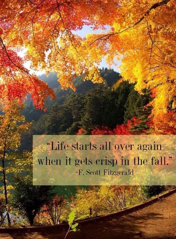 RLPRegina's tweet photo. Happy October!! This is the perfect time of year to take a moment, a deep breath &amp; start a new page. #realestate http://t.co/pnxLavnP2T