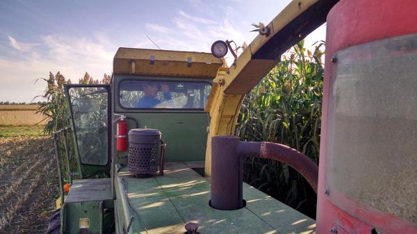 jcjackson9697's tweet photo. CROPLAN by WinField Wagner SD replicated sorghum plot harvest #begreater #winfieldinsight http://t.co/xMwUUF533C
