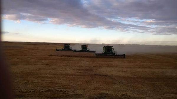 steven3653's tweet photo. Harvest #14 is in the books.
Praise the Lord! http://t.co/7JS0h5imUy