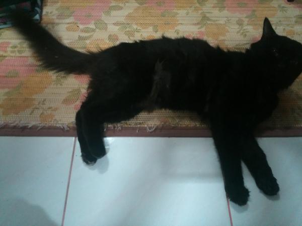 Imsyekh's tweet image. Gambar terakhir semasa sihat #6September2014