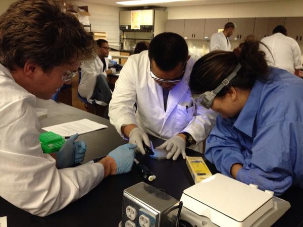 Reyvolutionary's tweet image. #biotechstudents #futurescientists at work doing #ligation #transformation @kmkubo