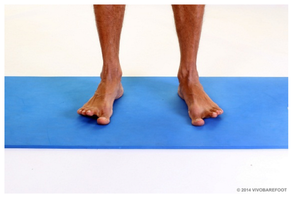 VIVOBAREFOOT's tweet photo. Need to wake up the brain and body? Forget @LucozadeSport & @redbull
Do #toega this morning. http://t.co/uV04tWfvko http://t.co/njFBO2YcH3