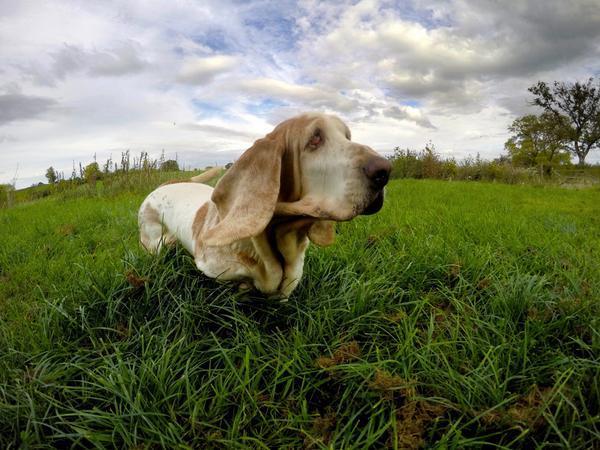 NEXTelectric's tweet photo. Looks like a good time 2 #GoPro 
http://t.co/4OrqbhXfii http://t.co/XByedipu8o