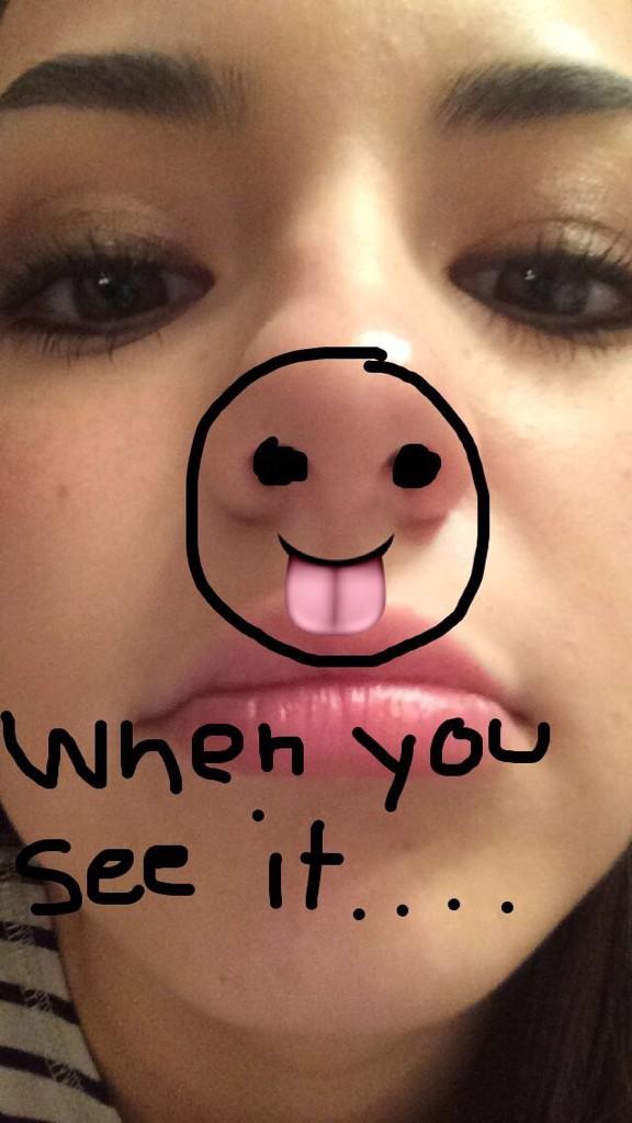 Vanessa Merrell on X: "Follow snapchat for amazing pictures... merrelltwins http://t.co/Pw8DOGnvEk" / X