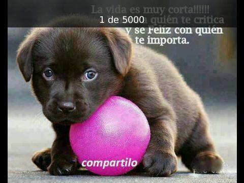 janeth_6854's tweet photo. http://t.co/CGL0ds95jT