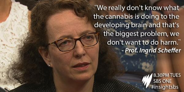 A doctor's dilemma? <a href="/JenBrockie/">Jenny Brockie</a> moderates this week's must watch debate: marijuana. Do you agree with Prof Scheffer?