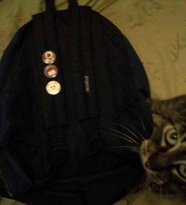 DoctorWhozit's tweet photo. @lovelykaitkim Just got the buttons today. Thank you so much again Kate! Also my cat says hi in the pic ^^ #KateArmy http://t.co/hqZCwRPRZC