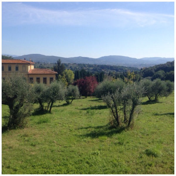 kwoo86's tweet photo. Firenze 10k #2sixpoints2 @nikechicago I just ran 3.12 mi with Nike+. http://t.co/bwoCIZPYGV #nikeplus http://t.co/j2B3vZLly9