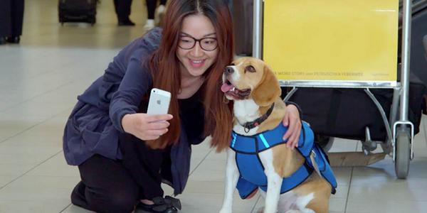 "Customers change your company for the better", says Martijn van der Zee in his #KLMblog klmf.ly/1qZLylr