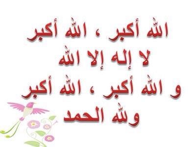 محمد الشريف tweet media