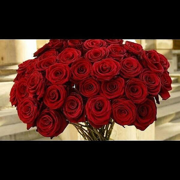 afmooot1's tweet photo. @Alanood_28 http://t.co/LXErhDZiMP