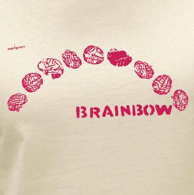 Antiwitz_at's tweet photo. Brainbow #brainbow #zwerkstatt http://t.co/O1aedH64VN http://t.co/dAQfdiHSKp