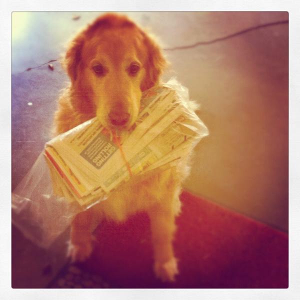 Lachowecki's tweet photo. Best dog ever! RIP old friend http://t.co/gWhn1mgOaS