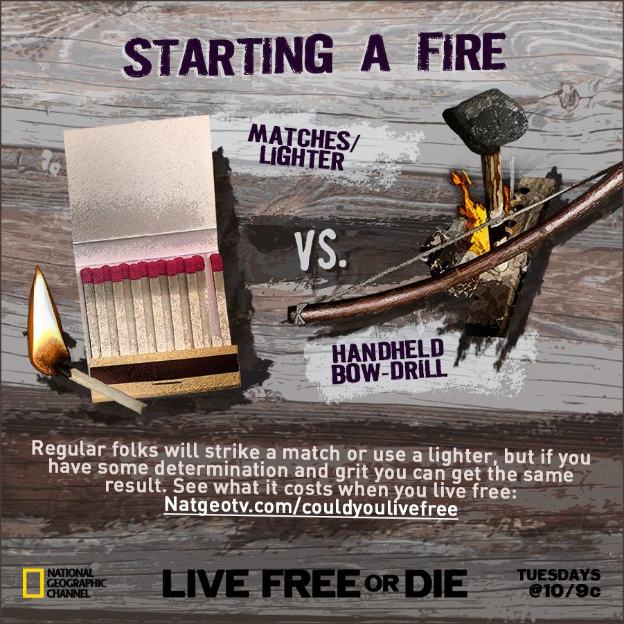 Live Oak, Texas visual data 2