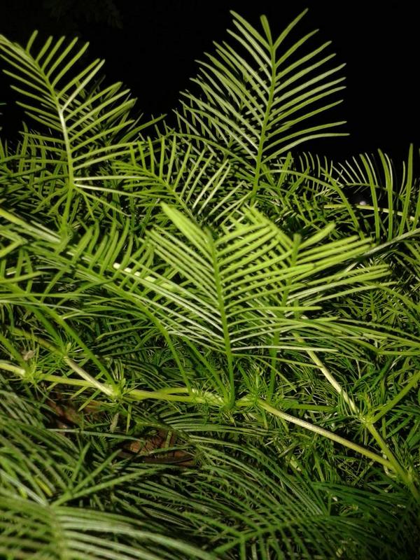 nmmsaheer's tweet image. 