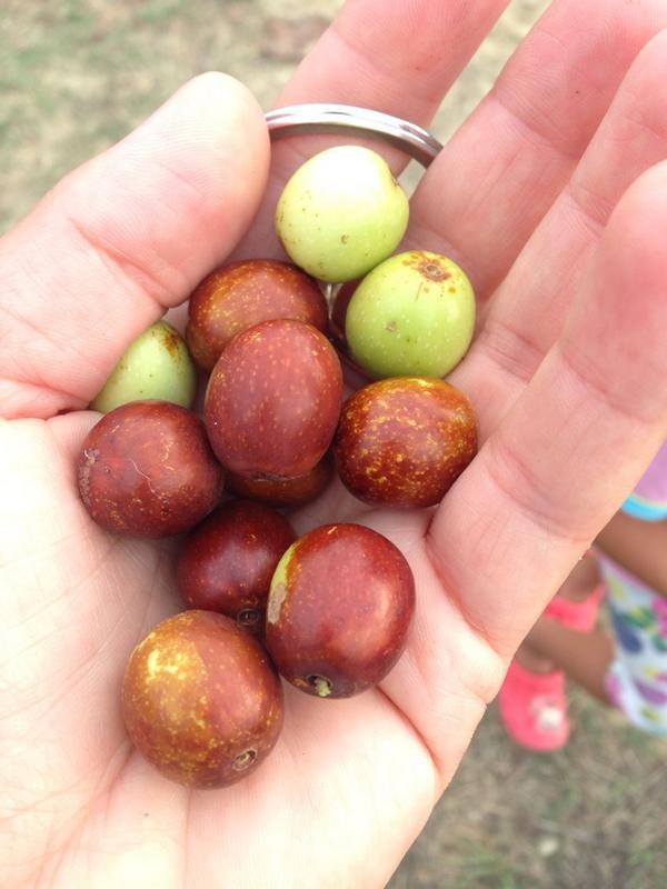 CheccaErli's tweet image. Autunno!!!