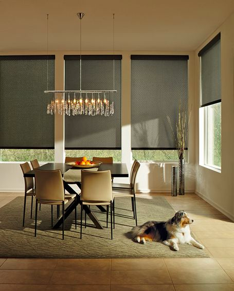 MechoShadeNG's tweet photo. ... regarding our products. Book a time to come into the show room to view the various options we have in place. http://t.co/zHGJHrejIq