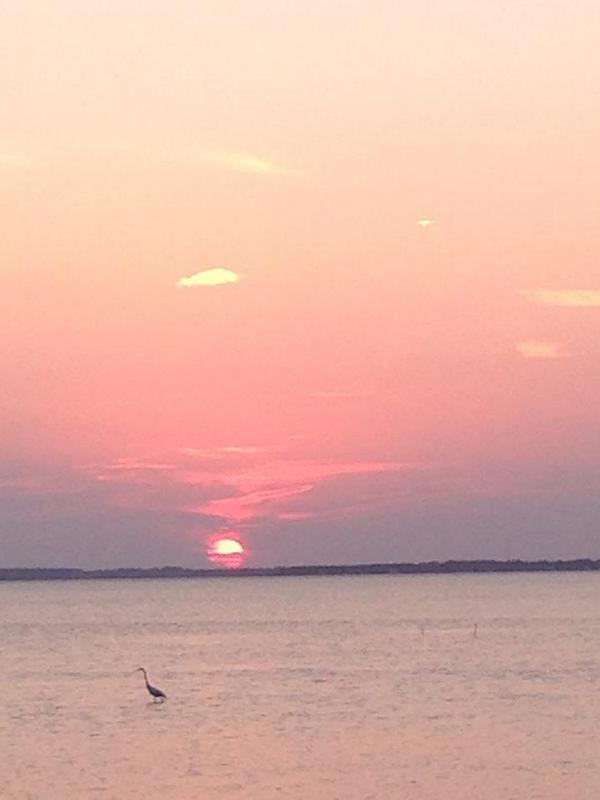 View at last nights' Wine Fest. Currituck Heritage Park is open every day, so come see us! #sunset #corolla #OBX