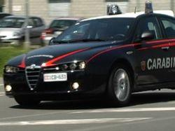 Telepavia Web tweet media