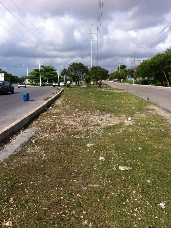 EmmanuelZetina's tweet photo. Dir de @Parques_BJ realizando limpieza de #Camellones en la #Av20Nov #ResultadosQueTranaforman @SoumayaAmar http://t.co/c8Rw7RmMWf