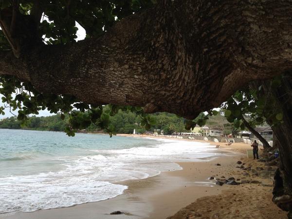DWhitall's tweet photo. @SandalsResorts #CloserYouLook #DiscoveryDining  a7 Right here! Beach at La Toc http://t.co/3hUjFh3RcI