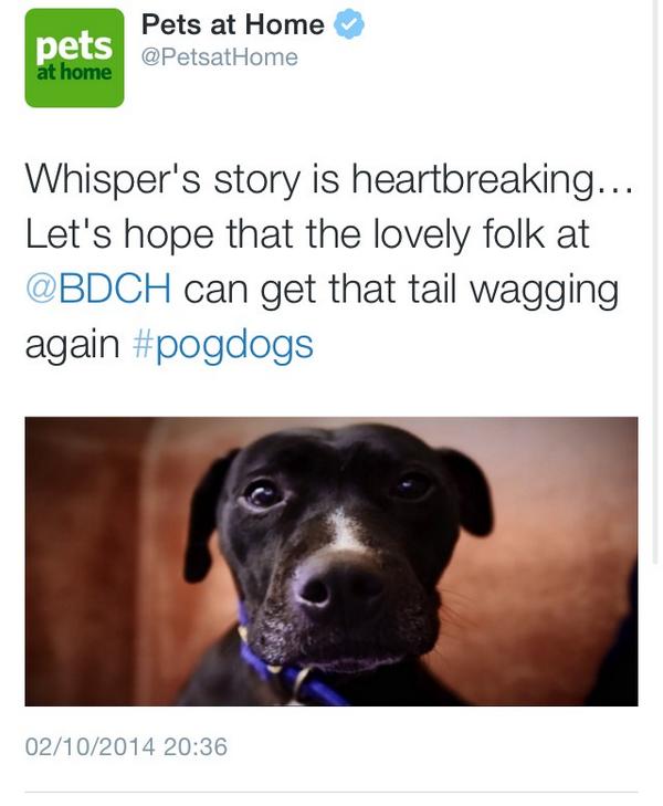 Most hypocritical tweet ever? Did u all know <a href="/PetsatHome/">Pets at Home</a> are AGAINST banning pups in pet shops? #pogdogs #wheresmum