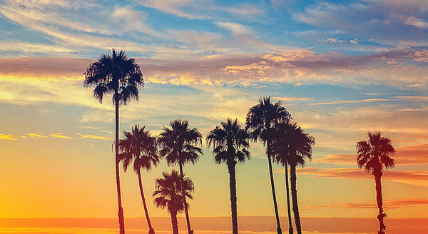 LiveDieInLA's tweet photo. From morning's first light to evening's last star, Always remember how special you are. #RiseAndShine http://t.co/0xgaBGLZzw