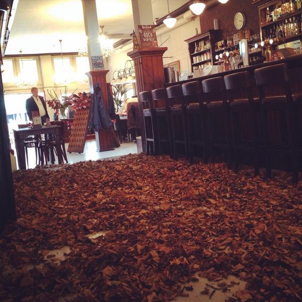 LaBrasseGron's tweet image. #Bocktober! Bockbier ronde Groningen startte vandaag @LaBrasseGron met een heerlijke @Brand_Bier #dubbelbock #herfst