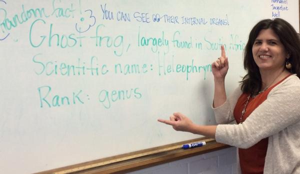 LallaTPierce's tweet photo. @jimmyfallon What about Ts Tweeting in school? #ghostfrog #STC http://t.co/F89EcDjCWF